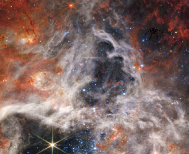 the Tarantula Nebula 